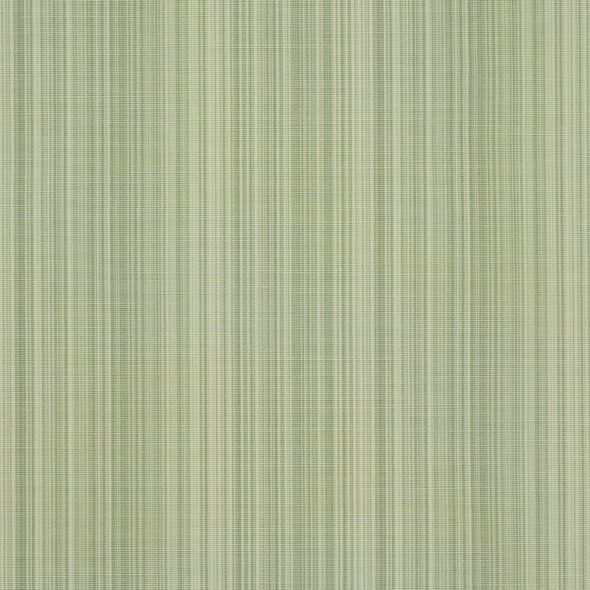 Schumacher Gracie Solid Strié Leaf Green Fabric