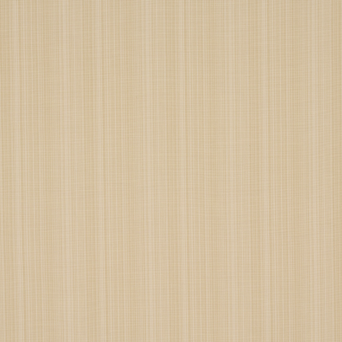 Schumacher Gracie Solid Strié Neutral Fabric