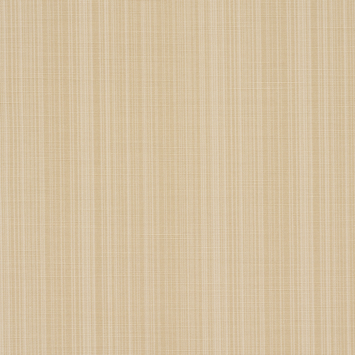 Schumacher Gracie Solid Strié Neutral Fabric