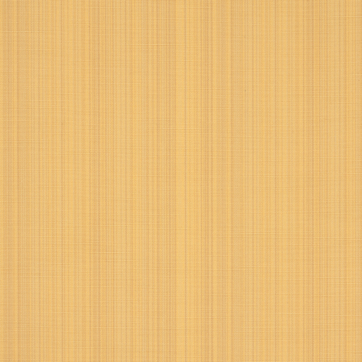 Schumacher Gracie Solid Strié Yellow Fabric