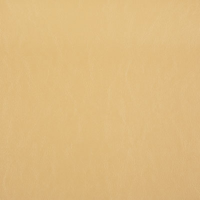 Pindler CARTER PAPYRUS 8372 Fabric