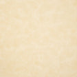 Pindler HIGGINS BONE 8373 Fabric