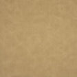 Pindler HIGGINS DUNE 8373 Fabric