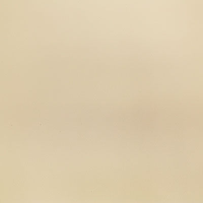 Pindler POWELL CREAM 8374 Fabric