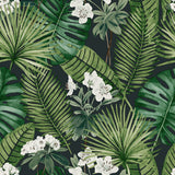 Veer Decor Island Eden Black Peel & Stick Wallpaper 8375-AD2