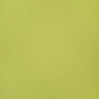 Pindler BELMONT SPROUT 8375 Fabric
