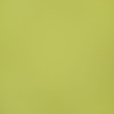 Pindler BELMONT SPROUT 8375 Fabric