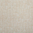 Pindler LENNOX SHELL 8377 Fabric