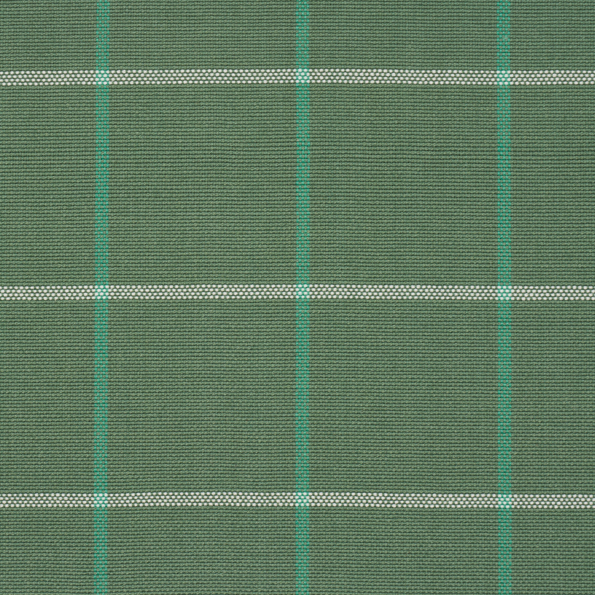 Schumacher Frannie Windowpane Green Fabric