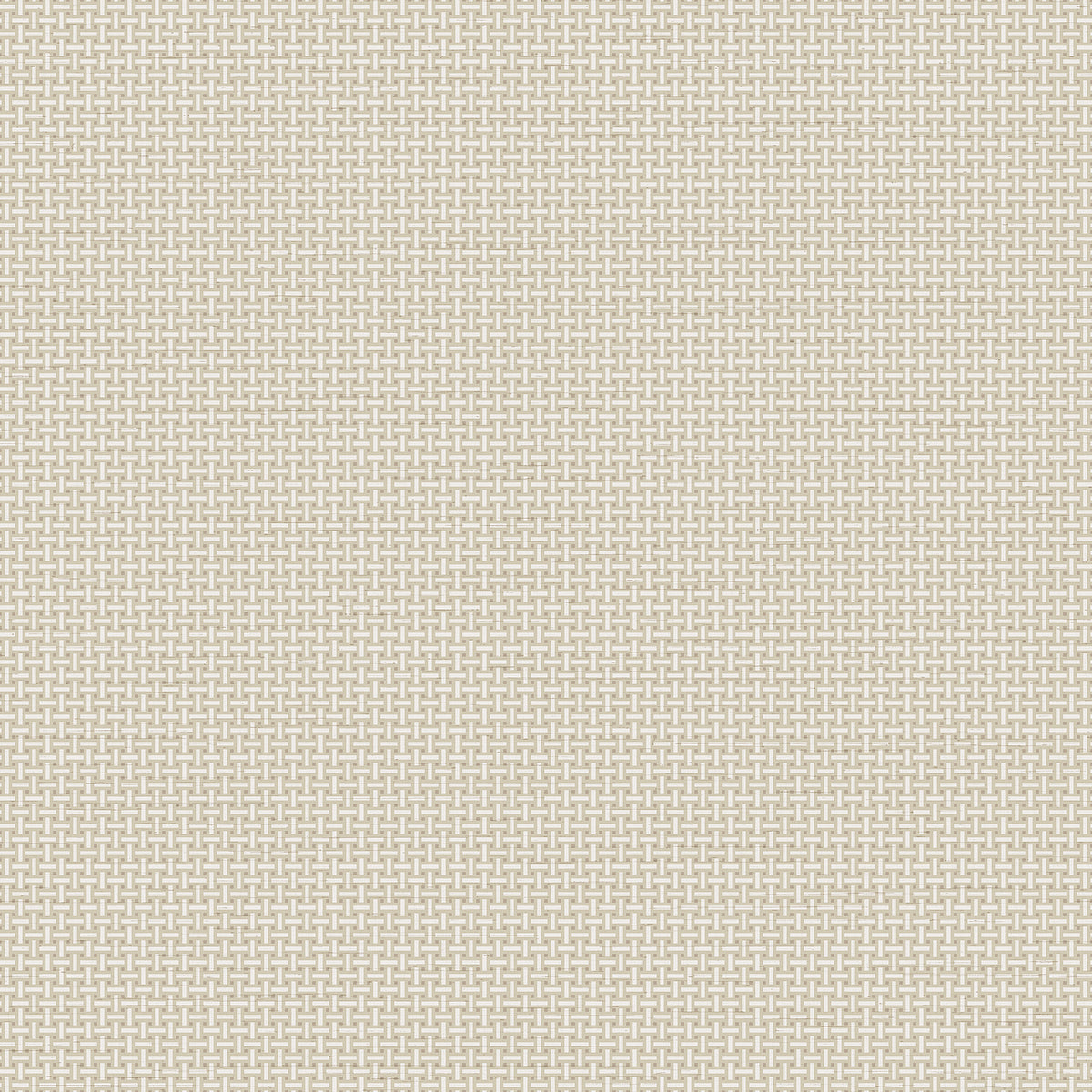 Veer Decor Cane Lattice Sage Wallpaper 8386-AC2