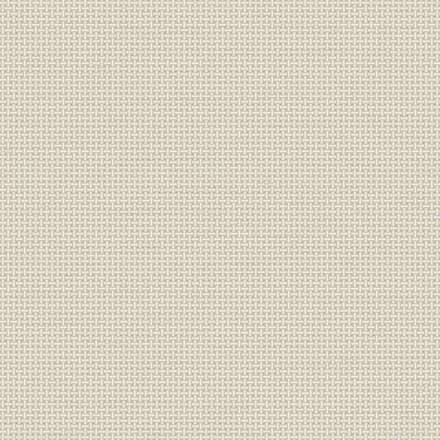 Veer Decor Cane Lattice Sage Wallpaper 8386-AC2