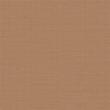 Veer Decor Cane Lattice Brown Wallpaper 8386-AC4