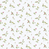 Eade's 84009-sample Multi-coloured