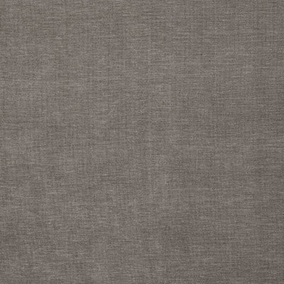 Pindler PAXTON ASH 8402 Fabric