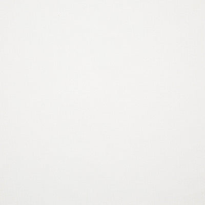 Pindler PAXTON SNOW 8402 Fabric