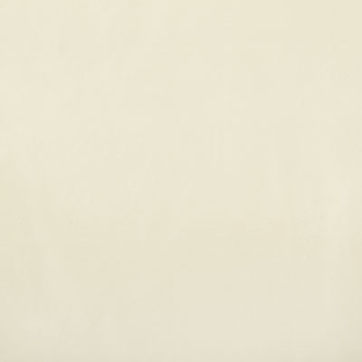 Pindler RAQUEL BIRCH 8403 Fabric