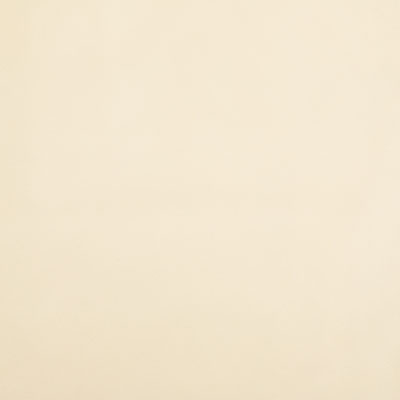 Pindler RAQUEL BISCUIT 8403 Fabric