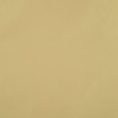 Pindler RAQUEL GLOW 8403 Fabric