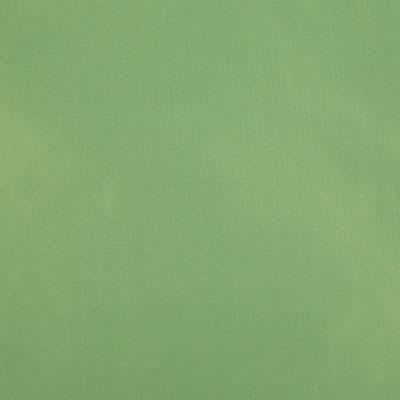 Pindler RAQUEL LEAF 8403 Fabric