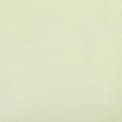 Pindler RAQUEL SEAGLASS 8403 Fabric