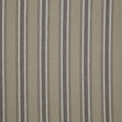 Pindler BENSON GREYSTONE 8408 Fabric