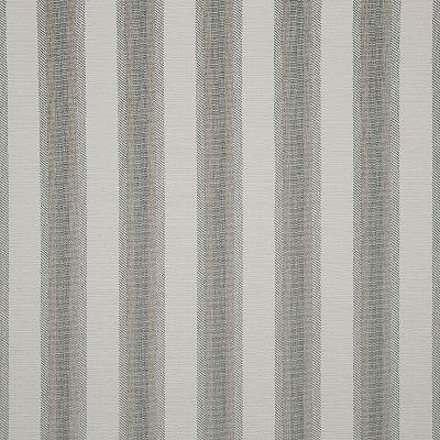 Pindler BENSON SAGE 8408 Fabric