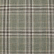 Pindler MORTON CACTUS 8410 Fabric
