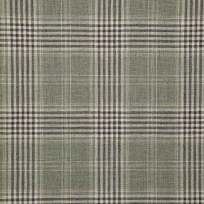 Pindler MORTON CACTUS 8410 Fabric