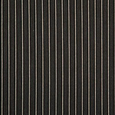 Pindler RICHARDSON BLACK 8411 Fabric