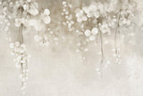 Veer Decor Ivory Rain Grey Wall Mural 8412-VRAED-AC