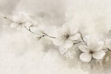 Veer Decor First Light Taupe Wall Mural 8412-VRAED-AD
