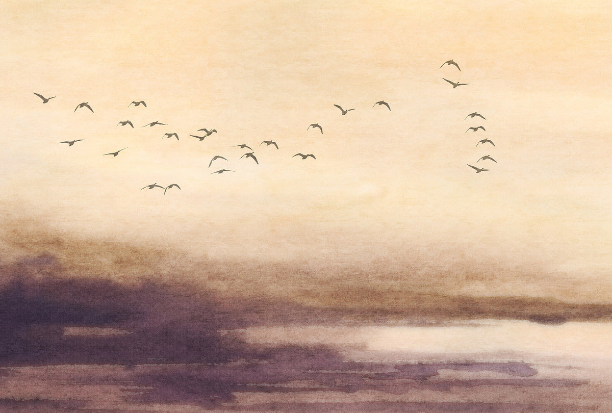 Veer Decor Silent Sky Beige Wall Mural 8412-VRAED-AM