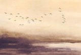 Veer Decor Silent Sky Beige Wall Mural 8412-VRAED-AM