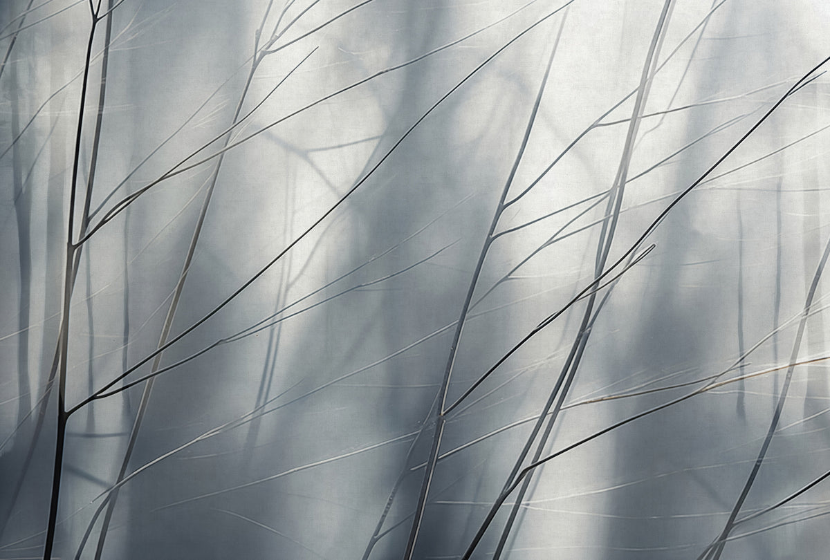Veer Decor Aeris Grey Wall Mural 8412-VRAED-AV