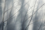 Veer Decor Aeris Grey Wall Mural 8412-VRAED-AV