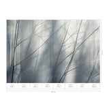 Veer Decor Aeris Grey Wall Mural 8412-VRAED-AV