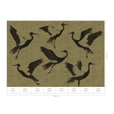 Veer Decor Black Feathers Gold Wall Mural 8412-VRAED-AW