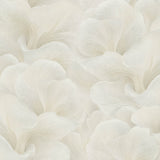 Veer Decor Floral Glow Beige Wallpaper 8413-VRFW-AF1