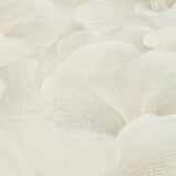 Veer Decor Floral Glow Beige Wallpaper 8413-VRFW-AF1