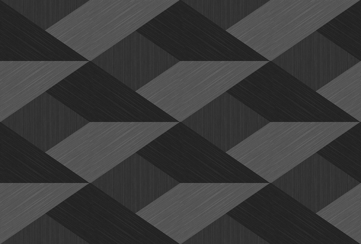 Veer Decor Shadow Grid Black Wall Mural 8413-VRFW-AK