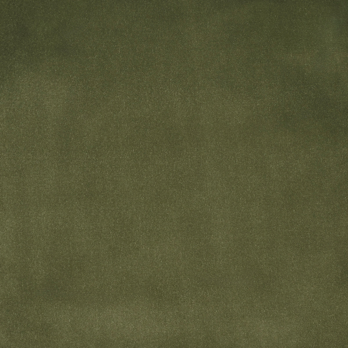 Schumacher 84131 ALISTAIR INDOOR/OUTDOOR VELVET in OLIVE Fab