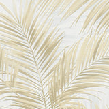 Veer Decor Calvado Palm Beige Wallpaper 8414-VRINC-AC1