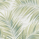 Veer Decor Calvado Palm Green Wallpaper 8414-VRINC-AC2