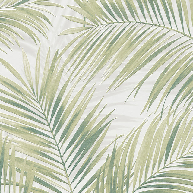 Veer Decor Calvado Palm Green Wallpaper 8414-VRINC-AC2