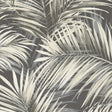 Veer Decor Calvado Palm Black Wallpaper 8414-VRINC-AC3