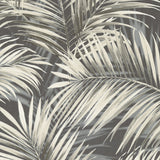 Veer Decor Calvado Palm Black Wallpaper 8414-VRINC-AC3