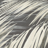 Veer Decor Calvado Palm Black Wallpaper 8414-VRINC-AC3