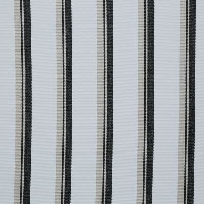 Pindler DOWNEY DOMINO 8414 Fabric