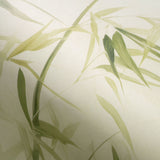 Veer Decor Bamboo Breeze Green Wall Mural 8416-VRZM-AB-2