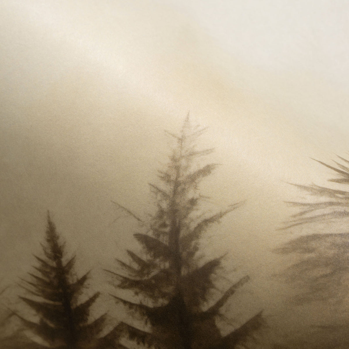 Veer Decor Silent Woods Beige Wall Mural 8416-VRZM-AH-1